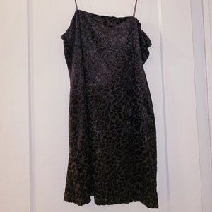 Wild Fable Black Velvet Cheetah Dress